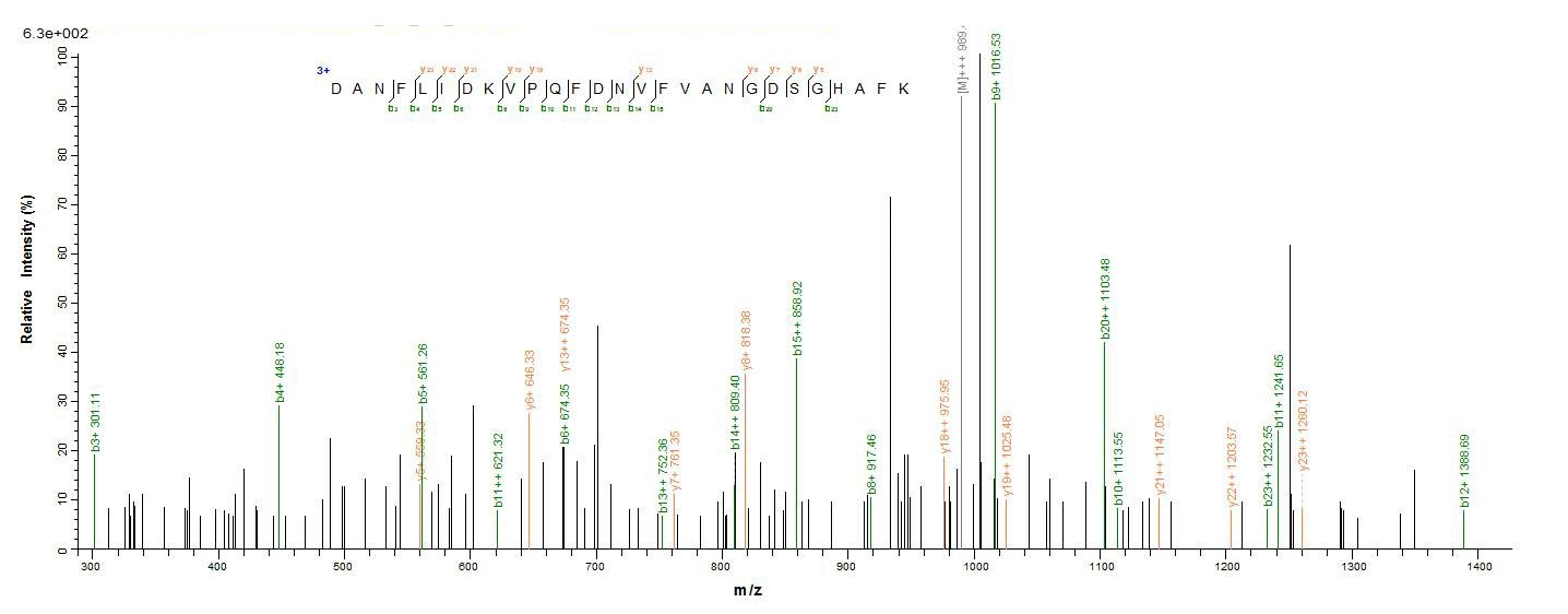 Fungi fap2 protein