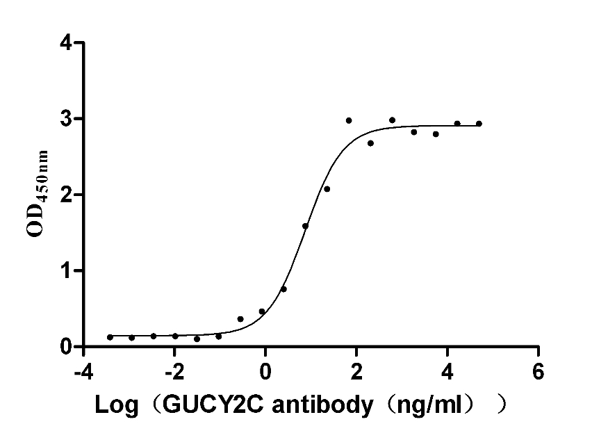 Human GUCY2C protein