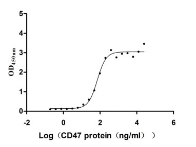 Human SIRPA protein