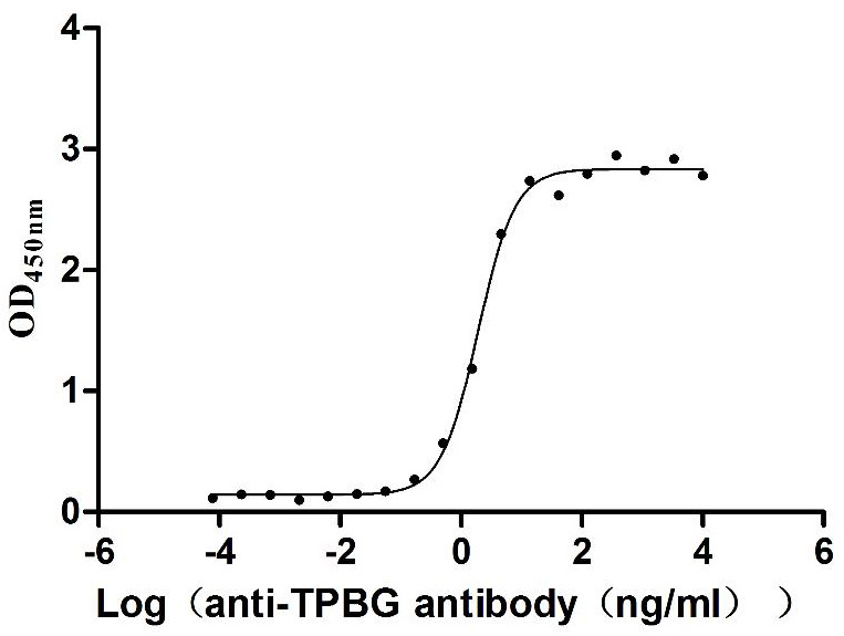 Primate TPBG protein