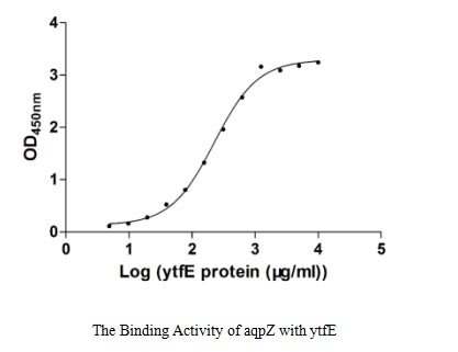 E. coli aqpz protein