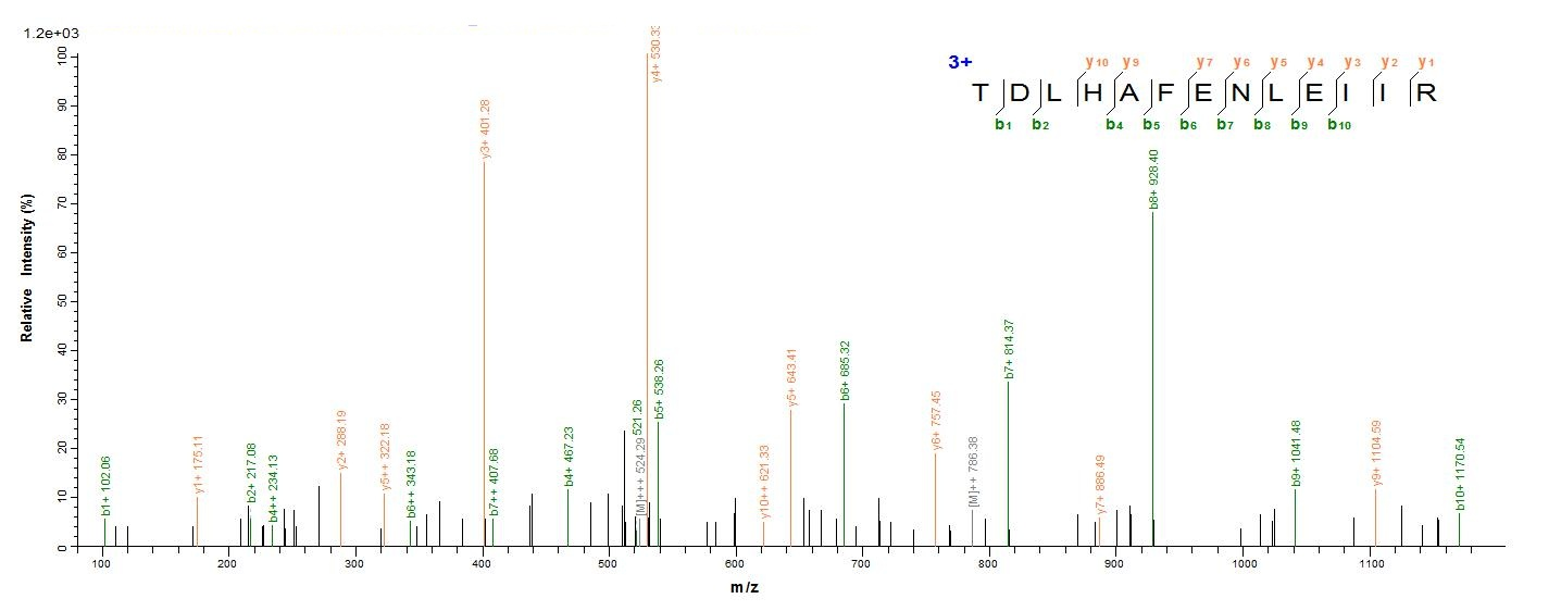 Human EGFR protein