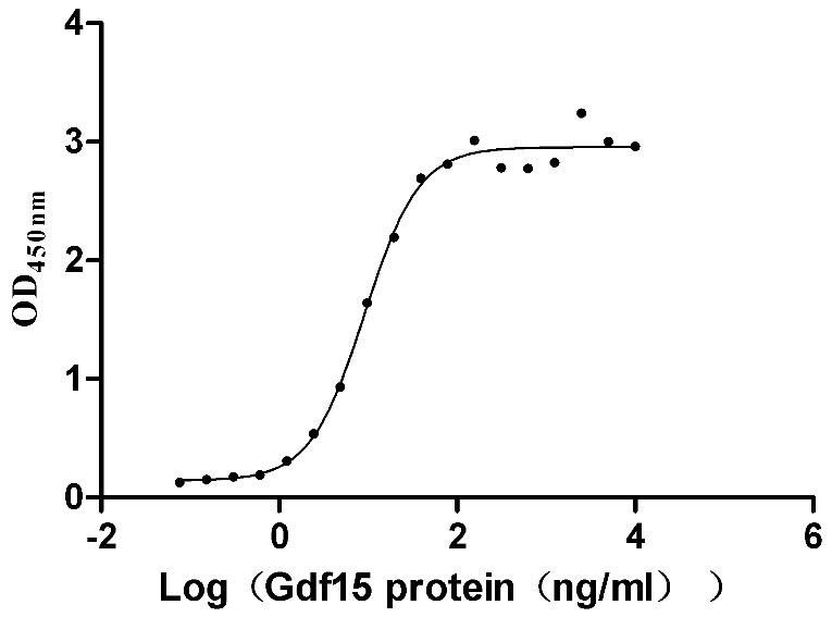 Mouse Gfral protein