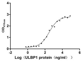 Human ULBP1 protein