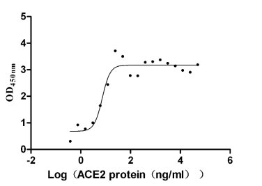 Monkey ACE2 protein