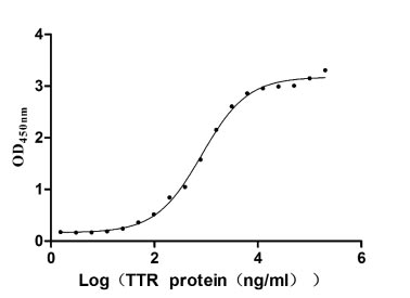 Human RBP4 protein