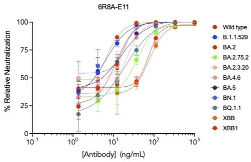 SARS-CoV-2 Human Neutralizing mAb Antibody