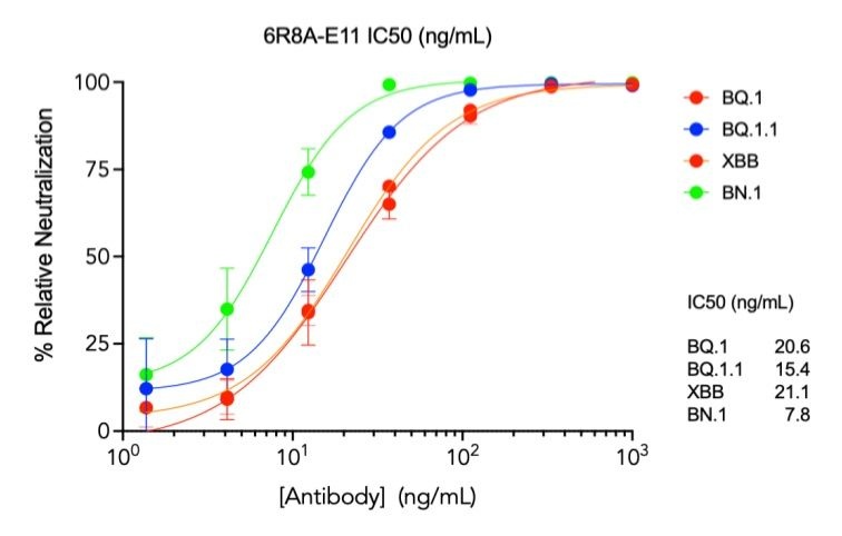 SARS-CoV-2 Human Neutralizing mAb Antibody
