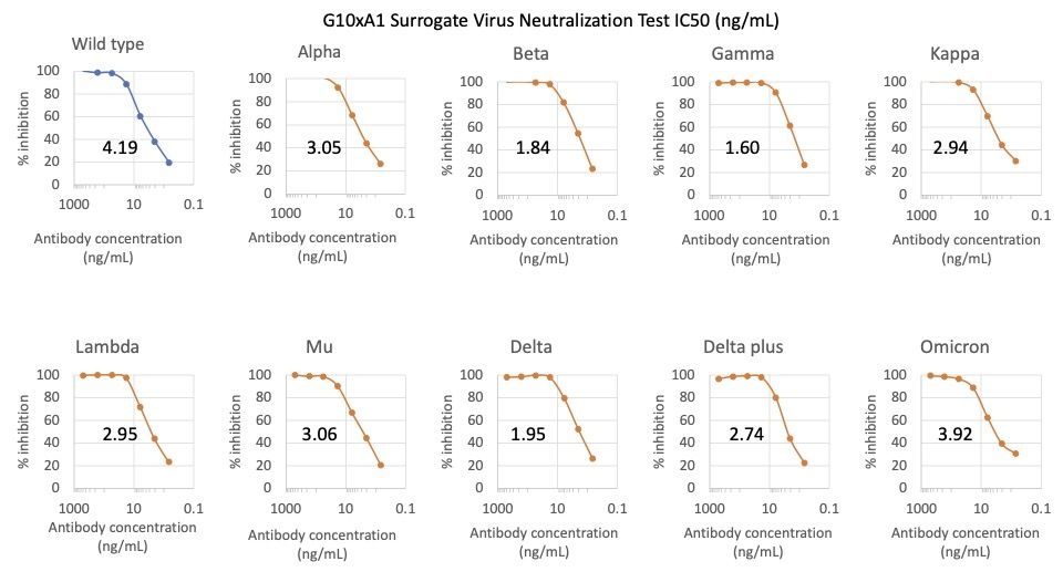 SARS-CoV2 Human Neutralizing mAb Antibody