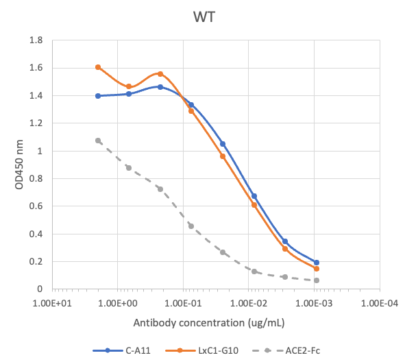 SARS-CoV2 Human Neutralizing mAb Antibody