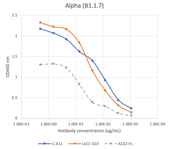 SARS-CoV2 Human Neutralizing mAb Antibody