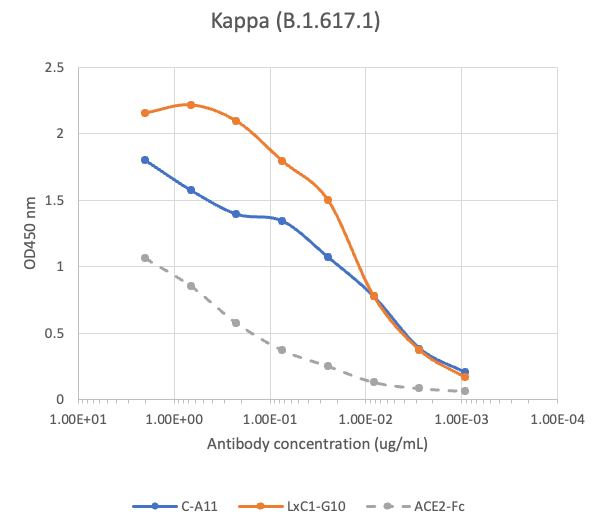 SARS-CoV2 Human Neutralizing mAb Antibody
