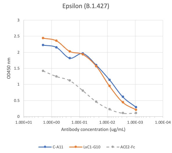 SARS-CoV2 Human Neutralizing mAb Antibody