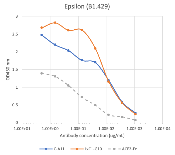 SARS-CoV2 Human Neutralizing mAb Antibody