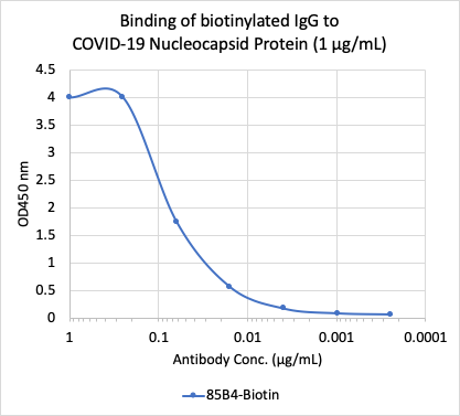 SARS-CoV-2 Nucleoprotein (NP) rabbit mAb Biotin Conjugate Antibody