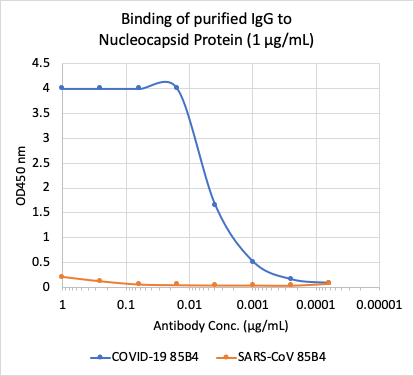 SARS-CoV-2 Nucleoprotein (NP) rabbit mAb Antibody