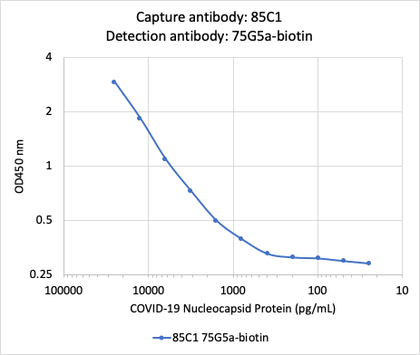 SARS-CoV-2 Nucleoprotein (NP) rabbit mAb Antibody