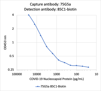 Recommended Pair - SARS-CoV-2 Nucleoprotein (NP) rabbit mAb Antibody