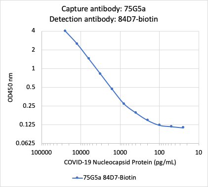 Recommended Pair - SARS-CoV-2 Nucleoprotein (NP) rabbit mAb Antibody