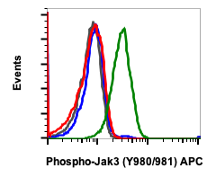Phospho-Jak3 (Tyr980/981) rabbit mAb APC conjugate Antibody
