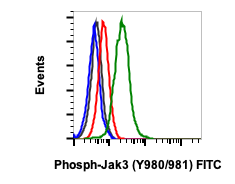 Phospho-Jak3 (Tyr980/981) rabbit mAb FITC conjugate Antibody