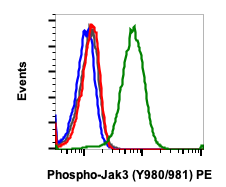 Phospho-Jak3 (Tyr980/981) rabbit mAb PE Conjugate Antibody