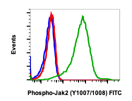 Phospho-Jak2 (Tyr1007/1008) rabbit mAb FITC Conjugate Antibody