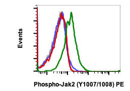 Phospho-Jak2 (Tyr1007/1008) rabbit mAb PE Conjugate Antibody