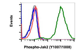 Phospho-Jak2 (Tyr1007/1008) rabbit mAb Antibody