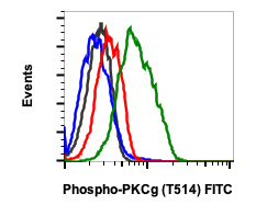 Phospho-PKC (pan) (gamma Thr514) rabbit mAb FITC conjugate Antibody