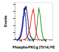 Phospho-PKC (pan) (gamma Thr514) rabbit mAb PE conjugate Antibody