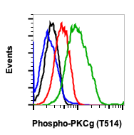 Phospho-PKC (pan) (gamma Thr514) rabbit mAb Antibody