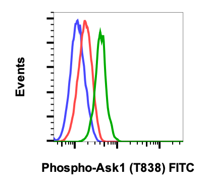 Phospho-Ask1 (Thr838) rabbit mAb FITC Conjugate Antibody