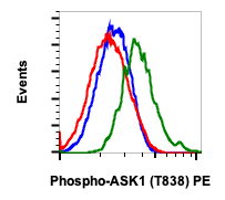 Phospho-Ask1 (Thr838) rabbit mAb PE Conjugate Antibody