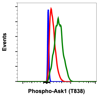 Phospho-Ask1 (Thr838) rabbit mAb Antibody