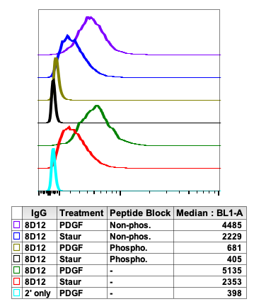 Phospho-Ask1 (Thr838) rabbit mAb Antibody