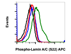 Phospho-Lamin A/C (Ser22) rabbit mAb APC conjugate Antibody