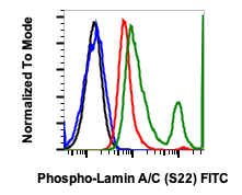 Phospho-Lamin A/C (Ser22) rabbit mAb FITC conjugate Antibody