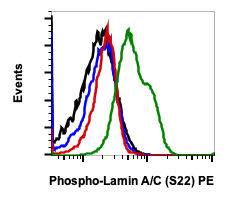 Phospho-Lamin A/C (Ser22) rabbit mAb PE conjugate Antibody