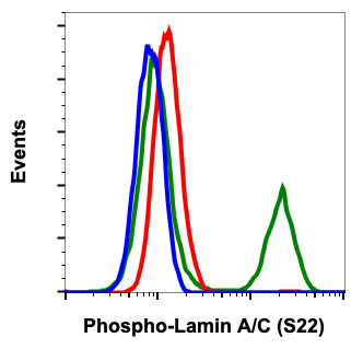 Phospho-Lamin A/C (Ser22) rabbit mAb Antibody