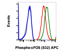 Phospho-c-Fos (Ser32) rabbit mAb APC Conjugate Antibody