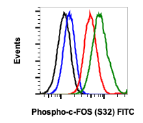Phospho-c-Fos (Ser32) rabbit mAb FITC Conjugate Antibody