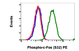 Phospho-c-Fos (Ser32) rabbit mAb PE Conjugate Antibody