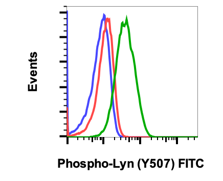 Phospho-Lyn (Tyr507) rabbit mAb FITC conjugate Antibody