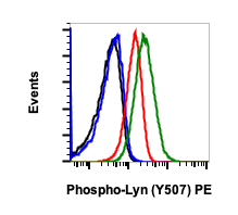 Phospho-Lyn (Tyr507) rabbit mAb PE conjugate Antibody