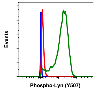 Phospho-Lyn (Tyr507) rabbit mAb Antibody