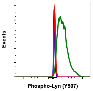 Phospho-Lyn (Tyr507) rabbit mAb Antibody