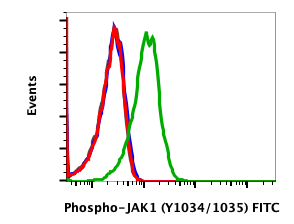 Phospho-Jak1 (Tyr1022/1023) rabbit mAb FITC Conjugate Antibody