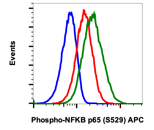 Phospho-NFkB p65 (Ser529) rabbit mAb APC conjugate Antibody