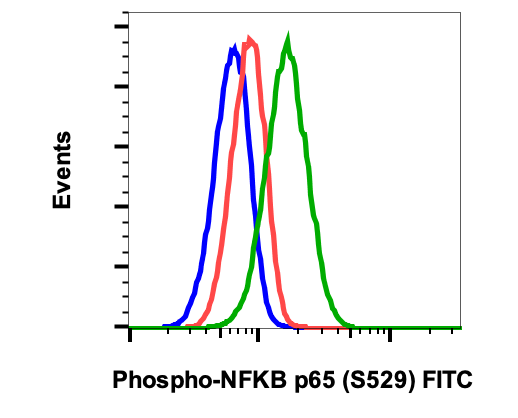 Phospho-NFkB p65 (Ser529) rabbit mAb FITC conjugate Antibody